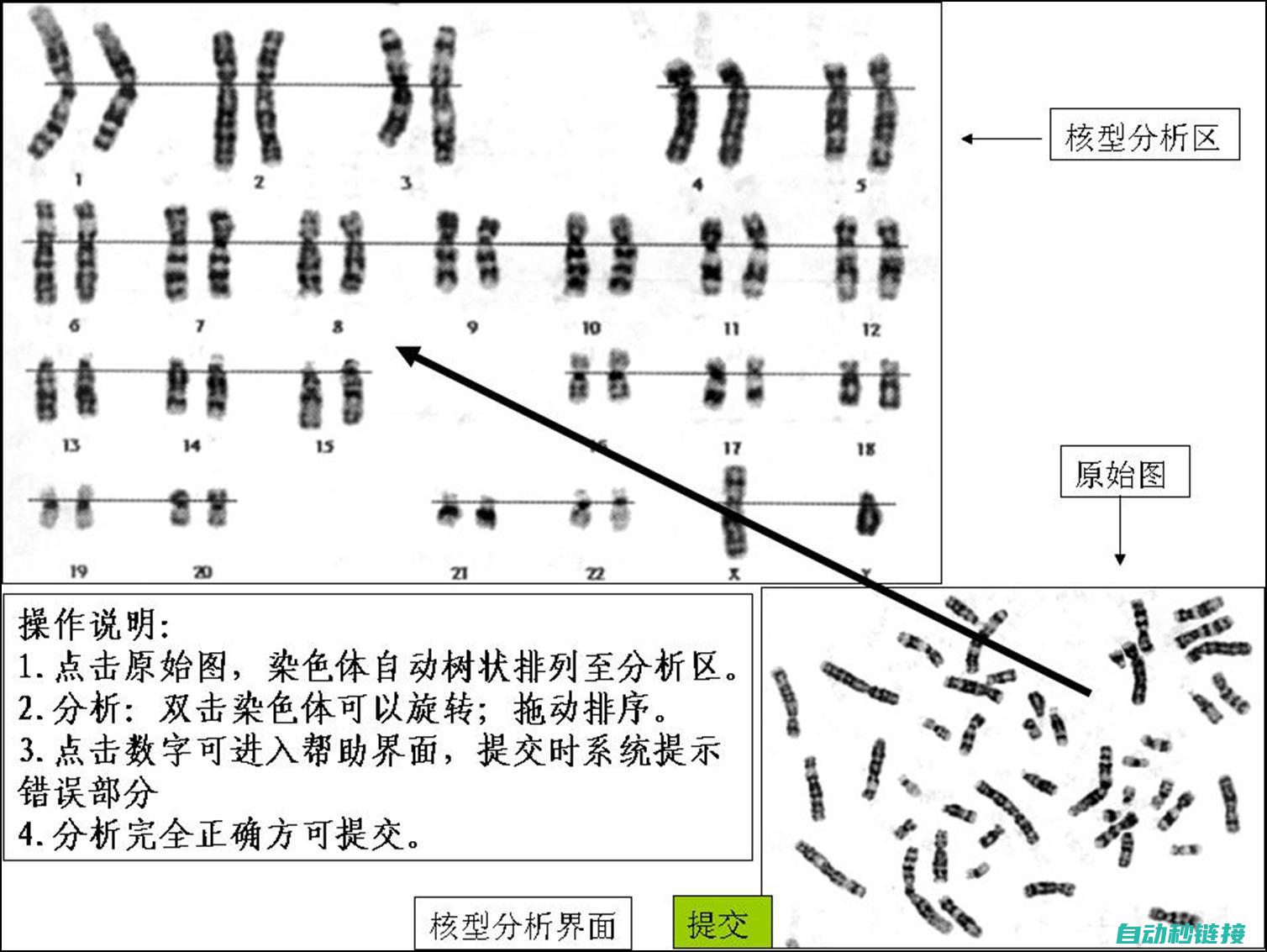 入门概览、核心理论与实操技巧 (核物理入门)